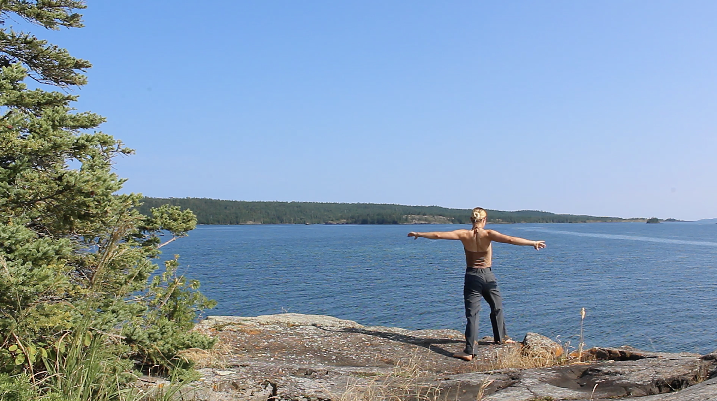 Scoville Point